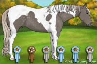 Horse Color:Silver Black Tobiano 