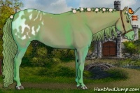 Horse Color:Watercolor Red Dun Appaloosa