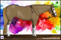 Horse Color:White Spotted Liver Red Dun Rabicano 