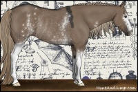 Horse Color:White Spotted Liver Red Dun Rabicano 