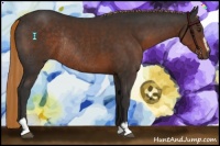 Horse Color:Liver Chestnut Sabino Rabicano 