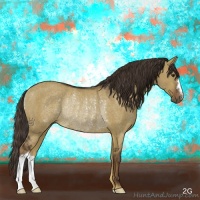 Horse Color:Liver Red Dun Rabicano 