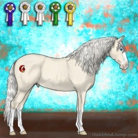 Horse Color:Cremello Roan Splash 