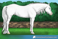 Horse Color:Silver Classic Cream Champagne Pearl Dun Tobiano Varnish Rabicano 