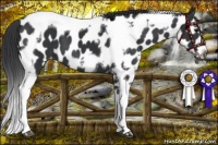 Horse Color:White Spotted Black Splash Tobiano Frame Near Leopard 