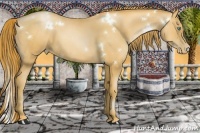 Horse Color:White Spotted Gold Champagne Pearl 