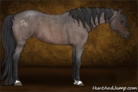 Horse Color:Brown Roan
