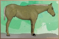 Horse Color:Silver Black 