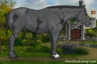 Horse Color:Black Ice 