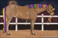 Horse Color:Painted Chestnut 