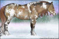 Horse Color:White Spotted Liver Red Dun Sabino Rabicano