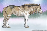 Horse Color:Liver Red Dun Sabino Rabicano