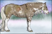 Horse Color:Liver Red Dun Sabino 