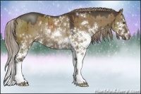 Horse Color:Liver Red Dun Sabino Splash Rabicano