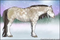 Horse Color:Liver Red Dun Sabino Rabicano Brindle 
