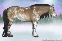 Horse Color:Brown Dun Sabino Rabicano Brindle