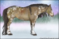 Horse Color:Liver Red Dun Sabino Rabicano