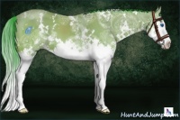 Horse Color:Watercolor White Spotted Bay Ice Splash