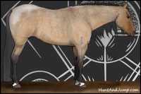 Horse Color:Brown Roan Dun 