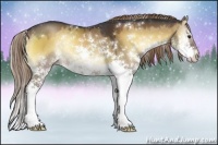 Horse Color:Liver Red Dun Onyx Sabino Rabicano