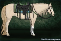 Horse Color:Perlino