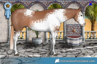 Horse Color:White Spotted Chestnut Splash 
