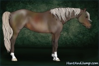 Horse Color:Silver Brown 