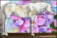 Horse Color:White Spotted Chocolate Palomino Ice Onyx
