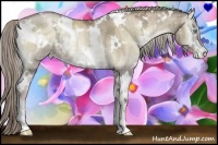 Horse Color:White Spotted Chocolate Palomino Ice Pearl Onyx Rabicano