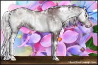 Horse Color:White Spotted Chocolate Silver Blue Onyx Chinchilla Sabino