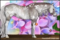 Horse Color:White Spotted Chocolate Silver Blue Onyx Chinchilla