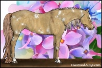 Horse Color:White Spotted Chocolate Palomino Dun Sabino 