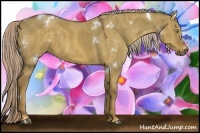 Horse Color:White Spotted Chocolate Palomino Dun 