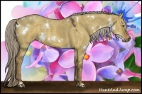 Horse Color:White Spotted Chocolate Palomino Dun 