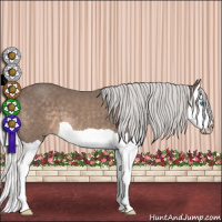Horse Color:Gray Silver Smoky Creme Splash