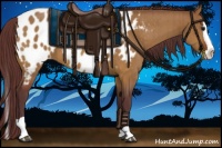 Horse Color:Chocolate Brown Dun Splash Appaloosa Brindle 