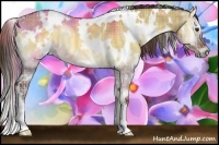 Horse Color:Plaid  White Spotted Liver Red Dun Onyx Rabicano 