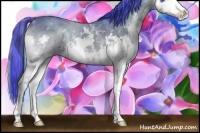 Horse Color:Watercolor Classic Champagne Onyx Sabino Splash