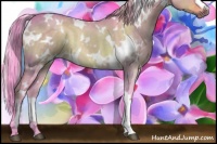 Horse Color:Watercolor White Spotted Brown Dun