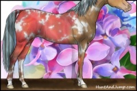 Horse Color:Painted White Spotted Sable Champagne 