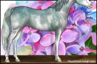 Horse Color:Watercolor Silver Bay Roan Dun Sabino Splash 