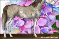 Horse Color:Liver Red Dun Ice Sabino Splash 