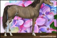 Horse Color:Liver Red Dun Sabino