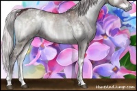 Horse Color:White Spotted Chocolate Silver Grullo Chinchilla Onyx Brindle