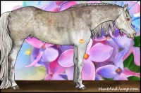 Horse Color:Chocolate Silver Smoky Grullo Chinchilla Ice Sabino Brindle