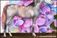 Horse Color:White Spotted Chocolate Black Chinchilla 