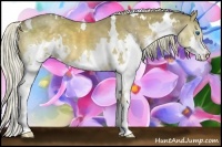 Horse Color:White Spotted Chocolate Palomino Splash 