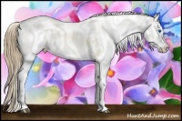 Horse Color:White Spotted Smoky Grullo Pearl Splash