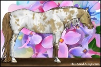 Horse Color:White Spotted Liver Red Dun Blanket Brindle 