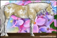 Horse Color:White Spotted Chocolate Palomino Dun Splash 